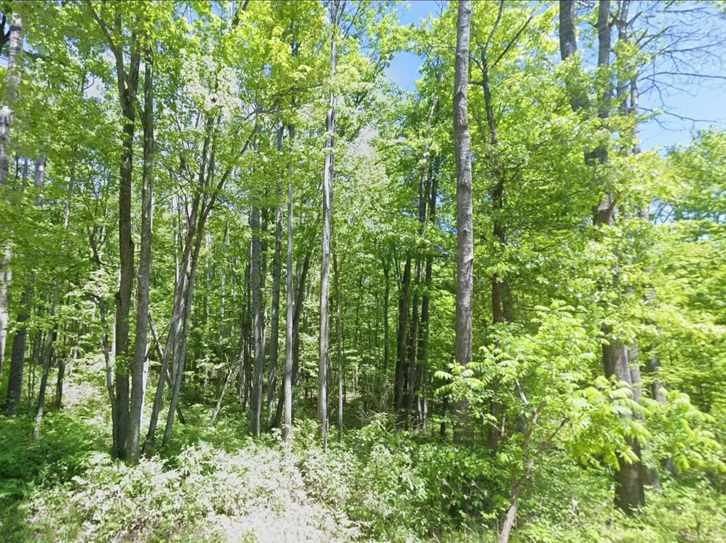 0 Sawyer Lane Rose Township MI 48654
