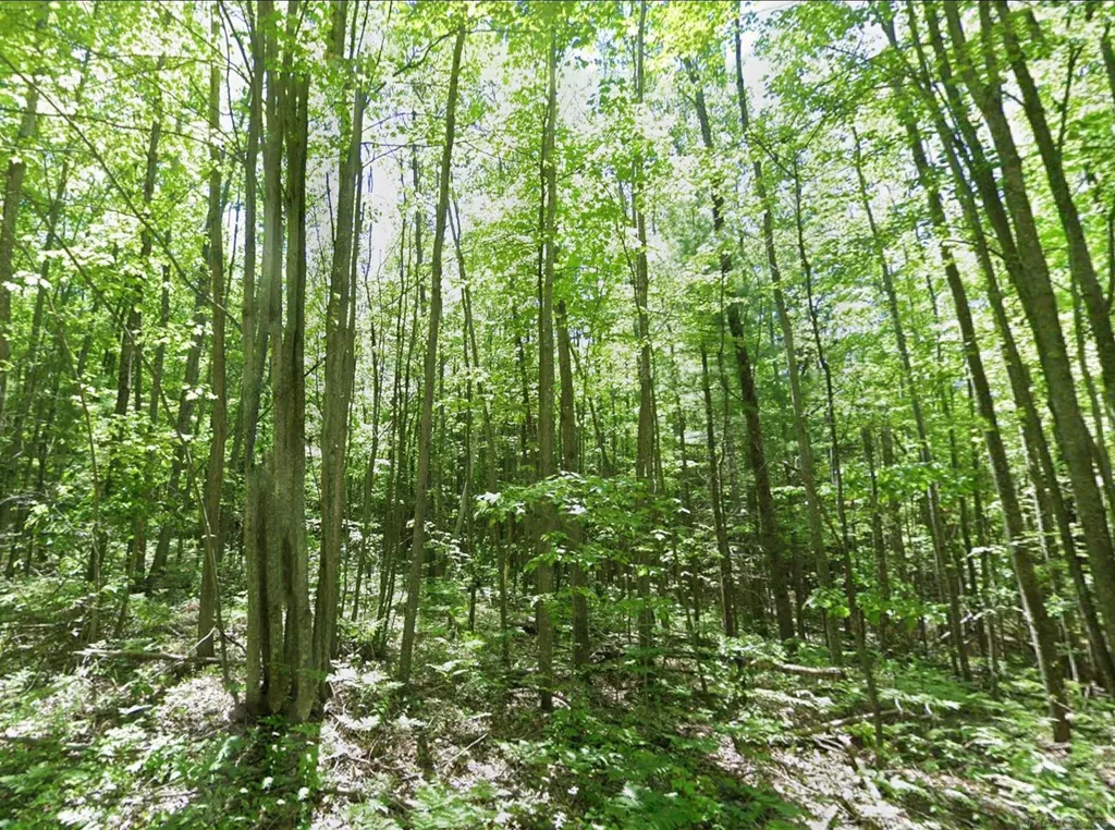 0 Sawyer Lane Rose Township MI 48654