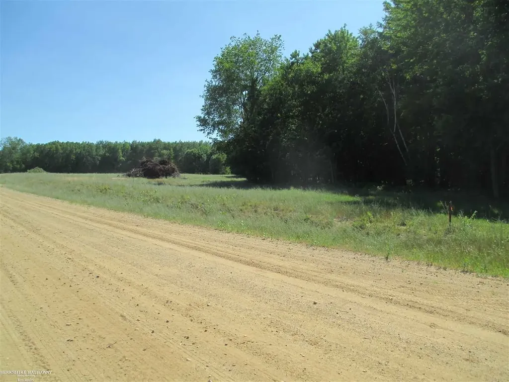 6830 Sandy Ridge Vassar Township MI 48768