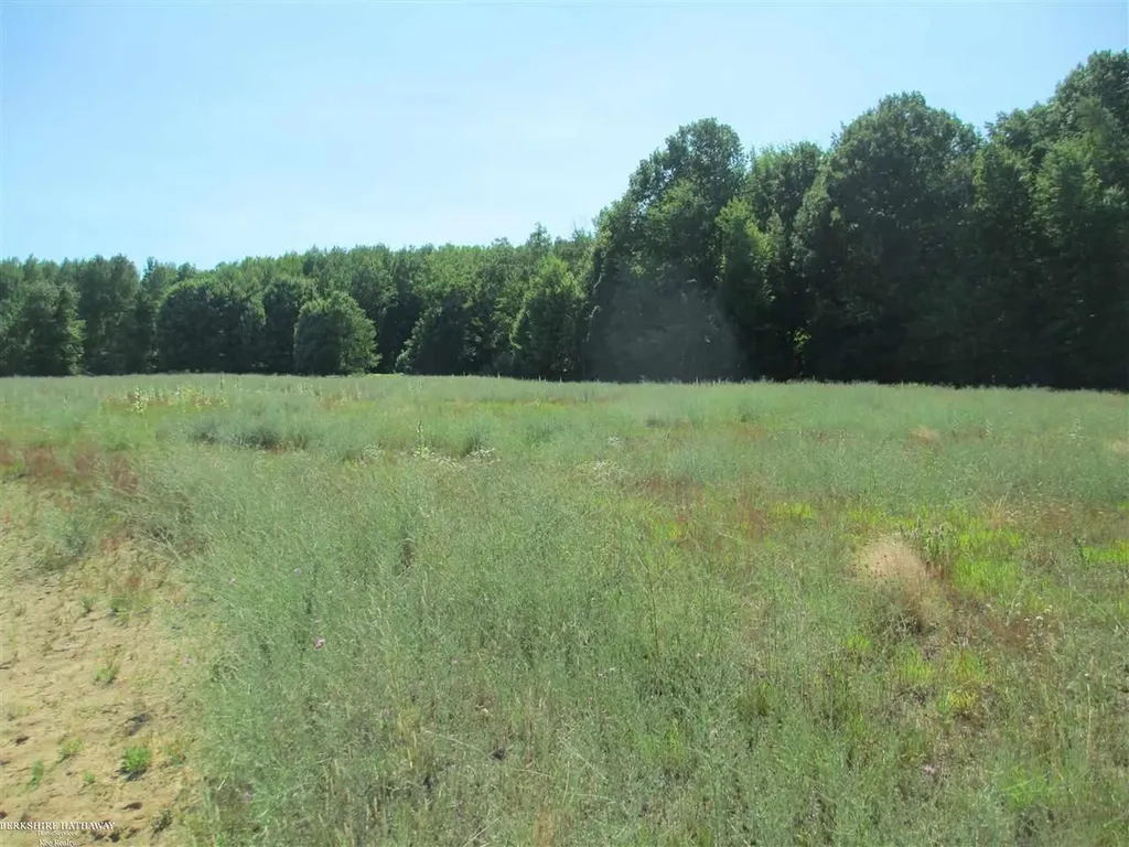 6830 Sandy Ridge Vassar Township MI 48768
