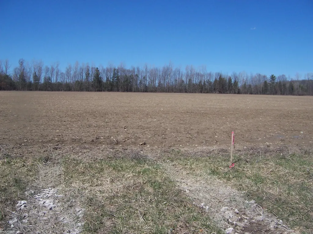 Lot 4 Beard Road Kenockee Township MI 48006