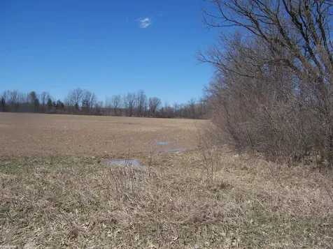 Lot 1 Beard Road Kenockee Township MI 48006