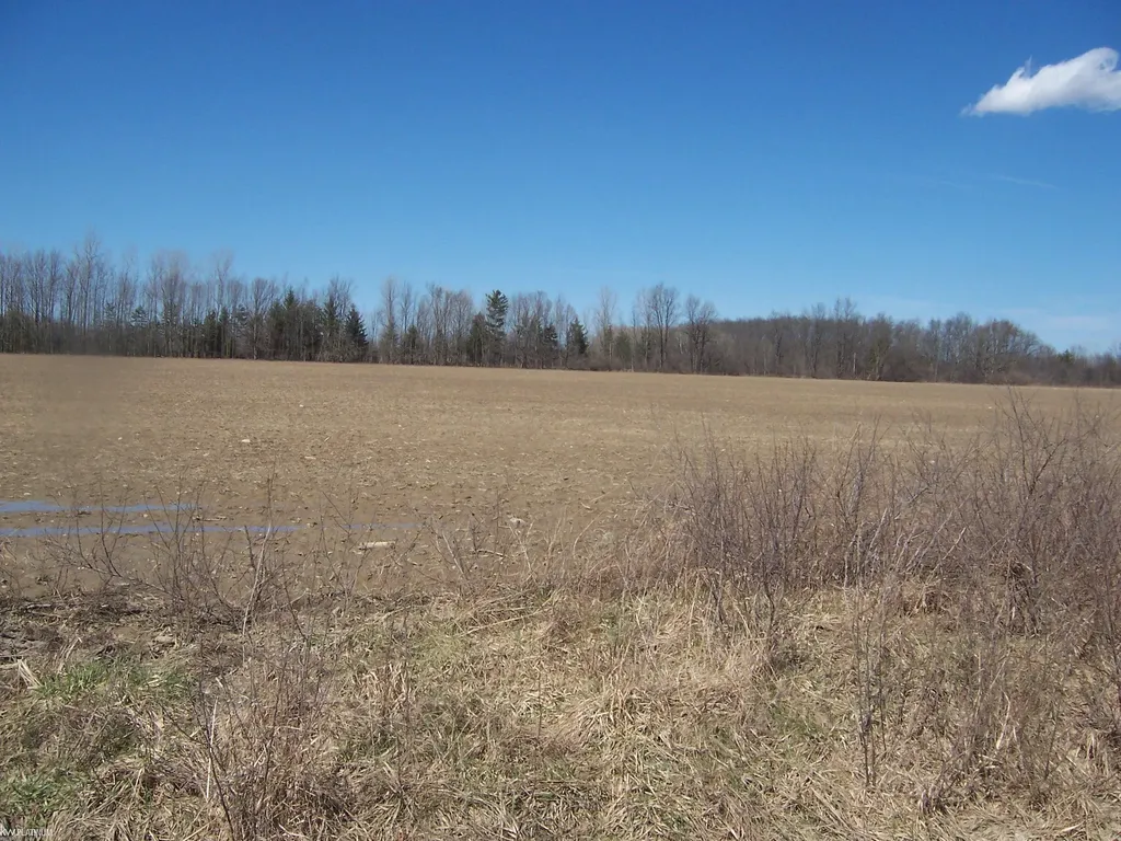 Lot 3 Beard Road Kenockee Township MI 48006
