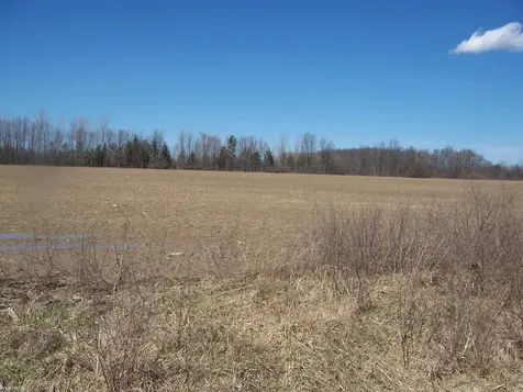 Lot 3 Beard Road Kenockee Township MI 48006