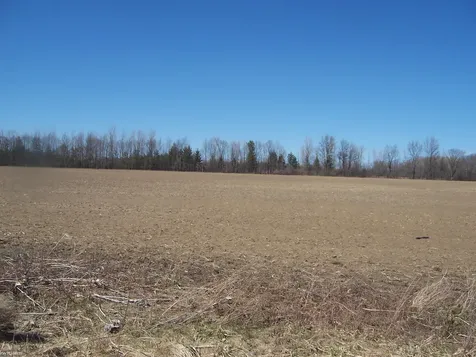 Lot 2 Beard Road Kenockee Township MI 48006