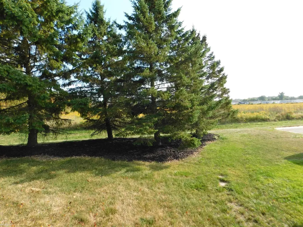 57574 Sawyer Court Lenox Township MI 48048
