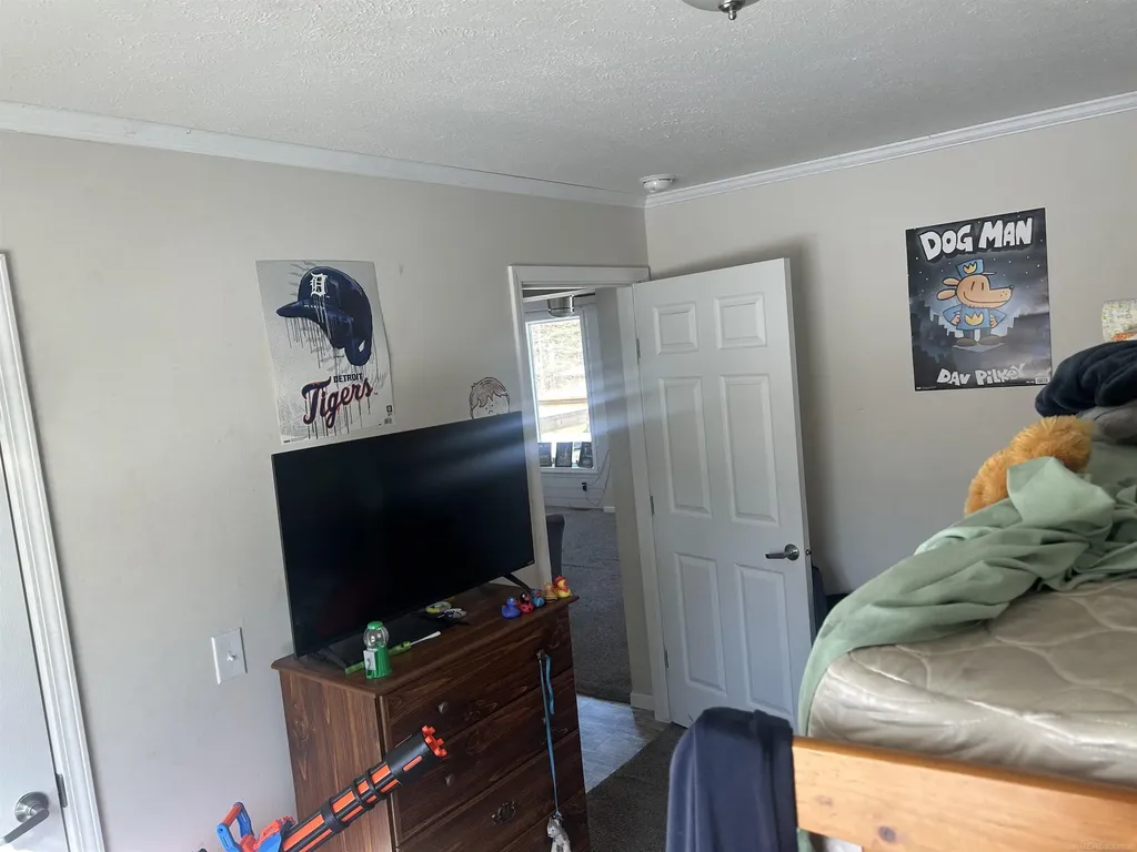 1712 Mt. Forest Road Mt. Forest Township MI 48650