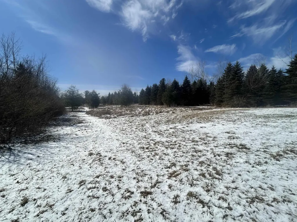 1712 Mt. Forest Road Mt. Forest Township MI 48650