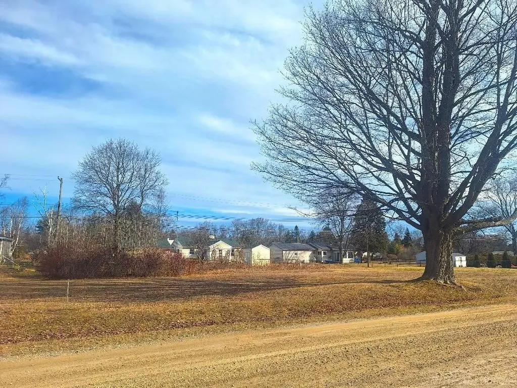 Lots 249-250 Blue Water Boulevard Worth Township MI 48450