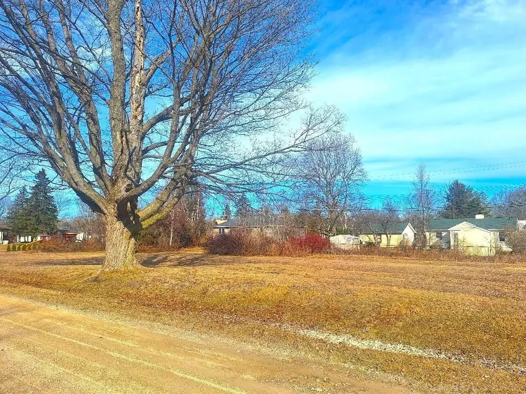 Lots 249-250 Blue Water Boulevard Worth Township MI 48450