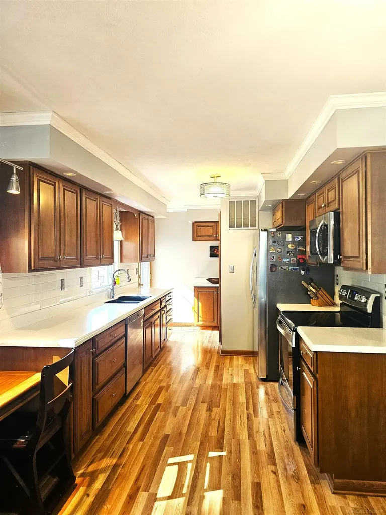 3825 Lapham Drive Hayes Township MI 48625