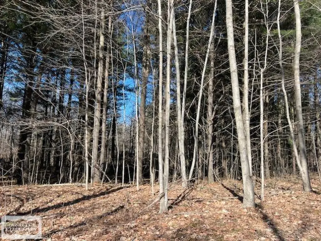 0 Burton Road Mussey Township MI 48014