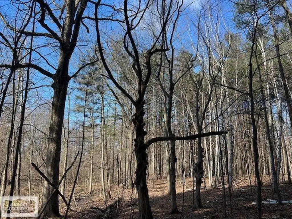 0 Burton Road Mussey Township MI 48014