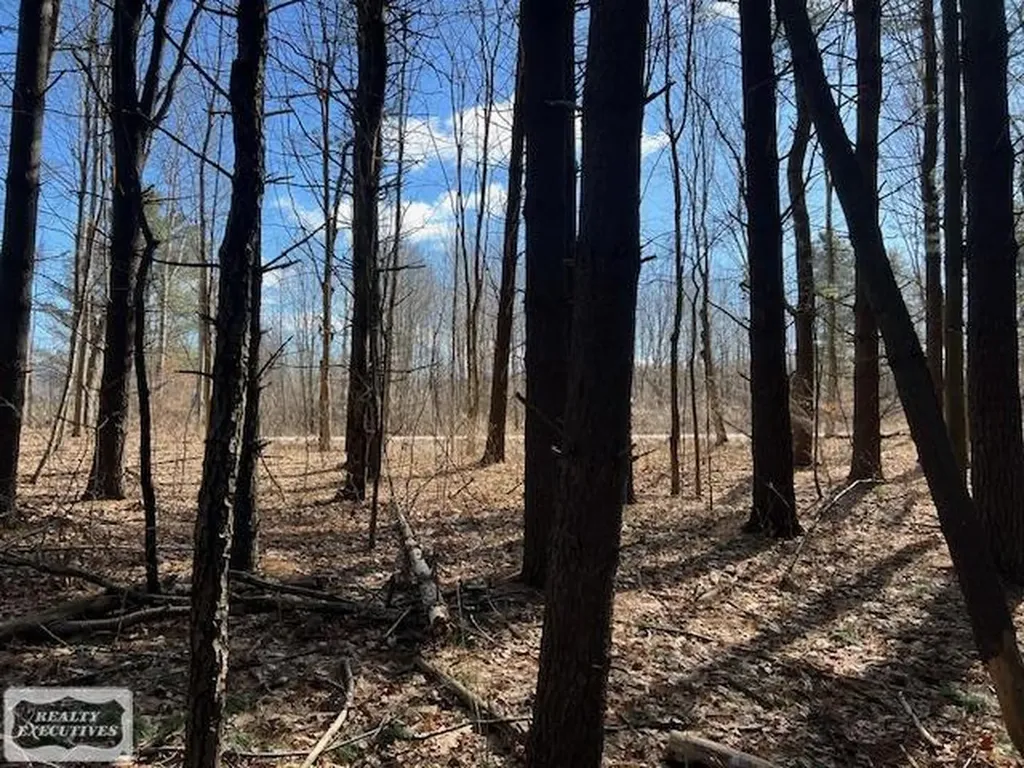 0 Burton Road Mussey Township MI 48014