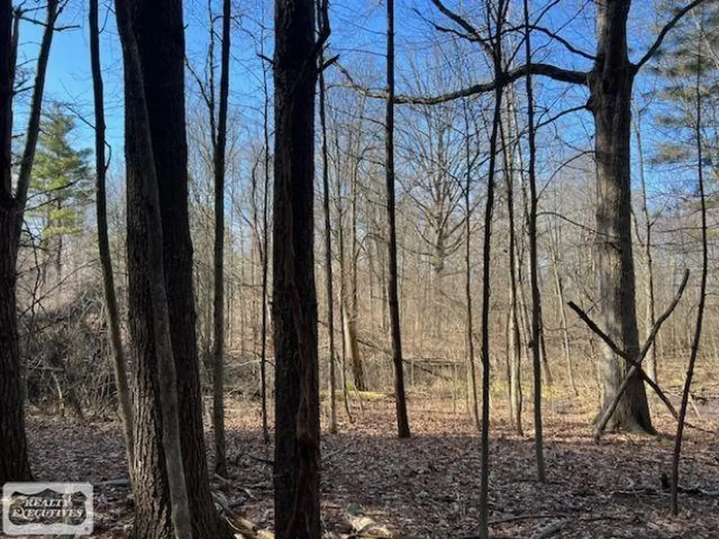 0 Burton Road Mussey Township MI 48014