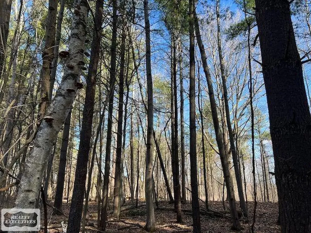 0 Burton Road Mussey Township MI 48014