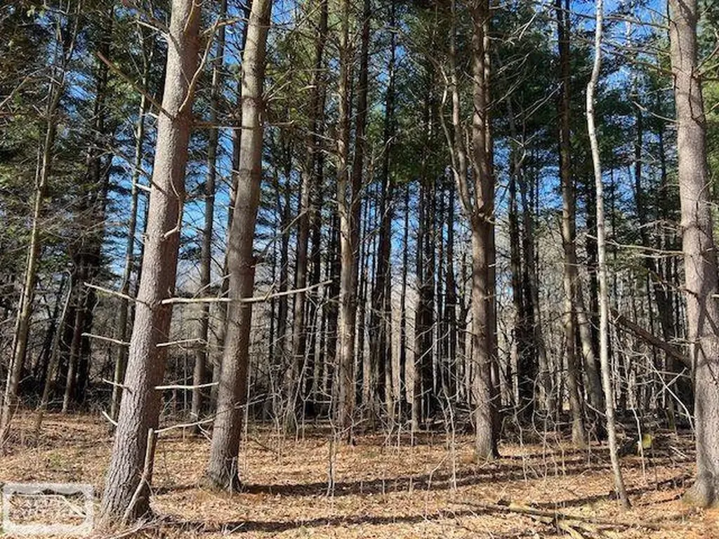 0 Burton Road Mussey Township MI 48014