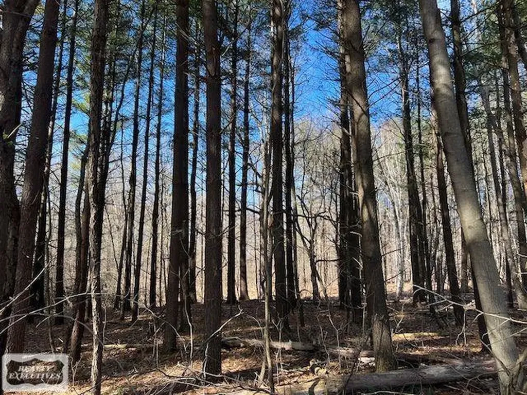 0 Burton Road Mussey Township MI 48014
