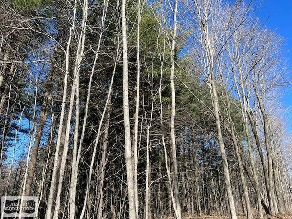 0 Burton Road Mussey Township MI 48014
