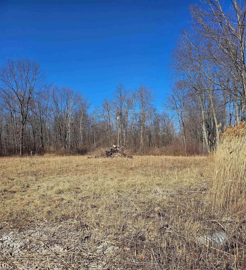 3260 N Shoreview Drive Fort Gratiot Charter Township MI 48059