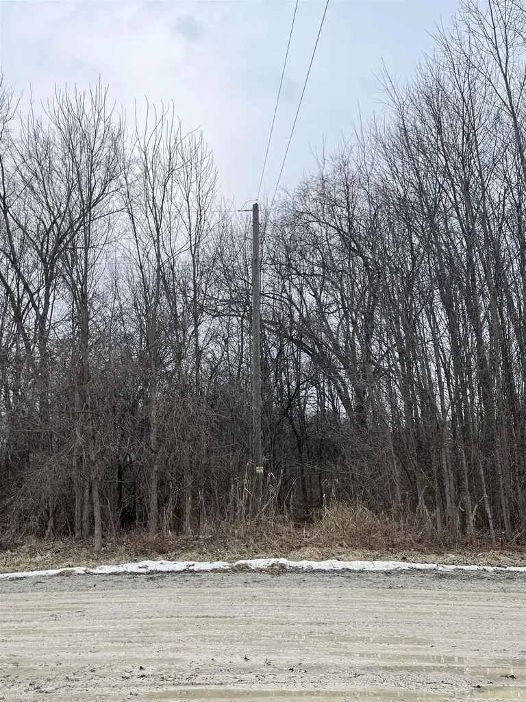 0 Fox Ridge 1-a Lane Berlin Township MI 48002