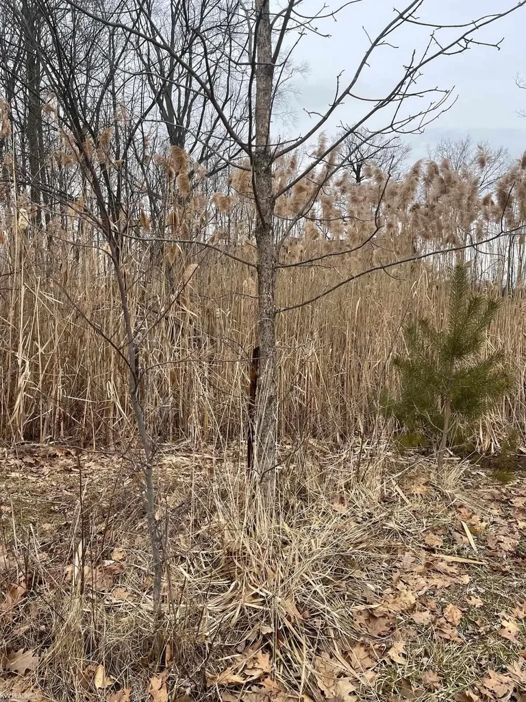 0 Fox Ridge 1-a Lane Berlin Township MI 48002