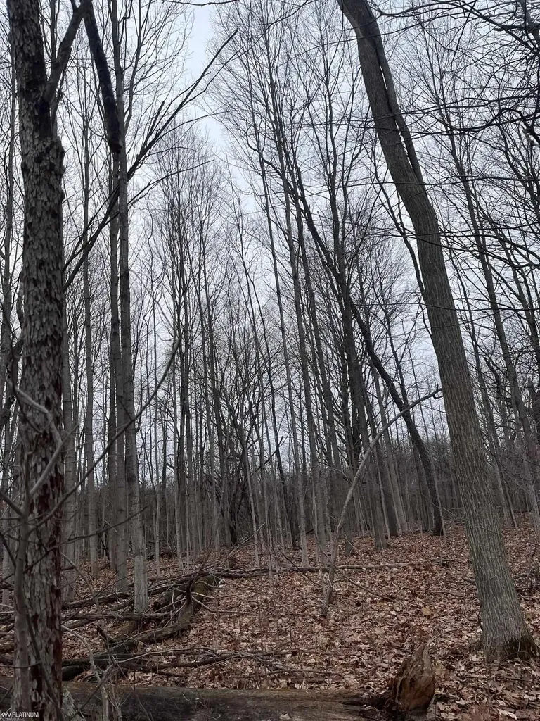 0 Fox Ridge 1-a Lane Berlin Township MI 48002