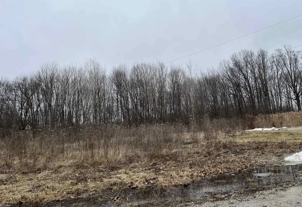 0 Fox Ridge 1-a Lane Berlin Township MI 48002