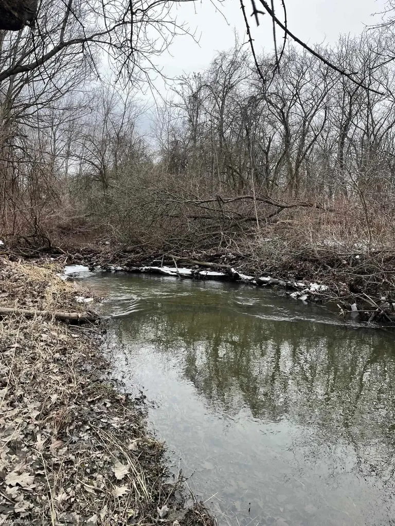0 Fox Ridge 1-a Lane Berlin Township MI 48002
