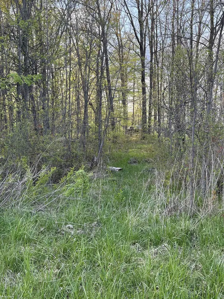 0 Fox Ridge 1-a Lane Berlin Township MI 48002