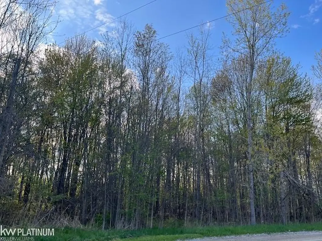 0 Fox Ridge 1-a Lane Berlin Township MI 48002