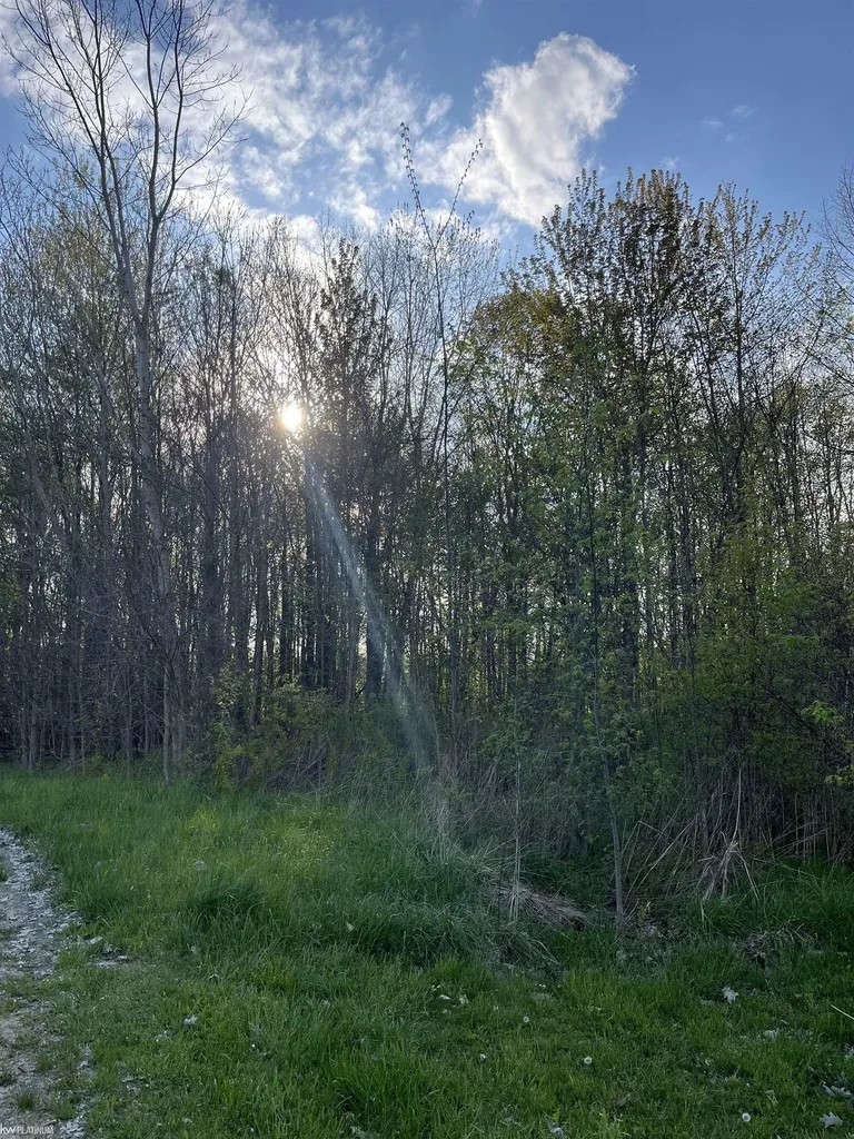 0 Fox Ridge 1-a Lane Berlin Township MI 48002