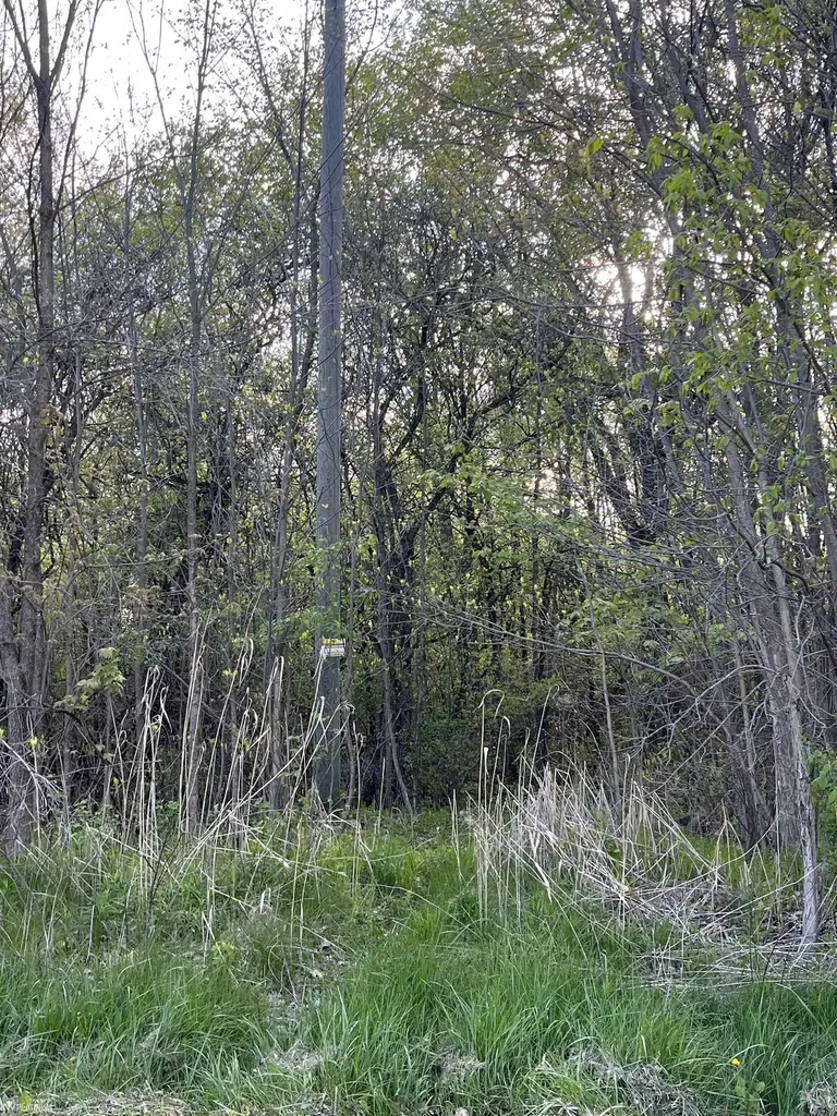 0 Fox Ridge 1-a Lane Berlin Township MI 48002