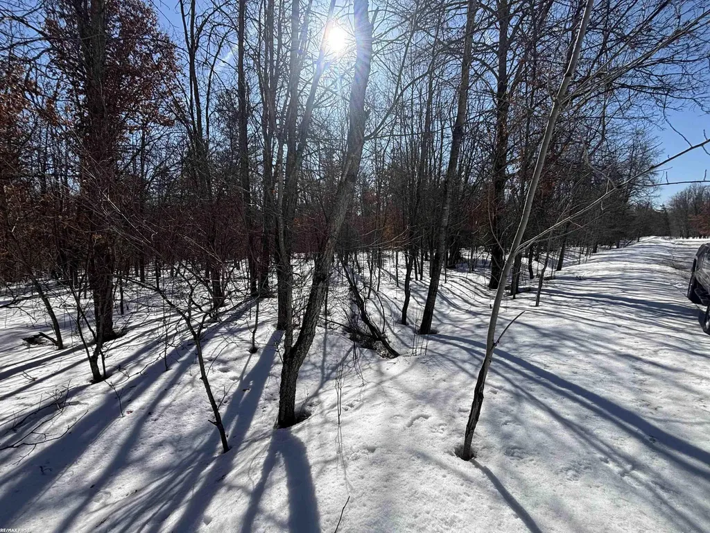 0 Pocahontas Trail Beaver Creek Township MI 48653