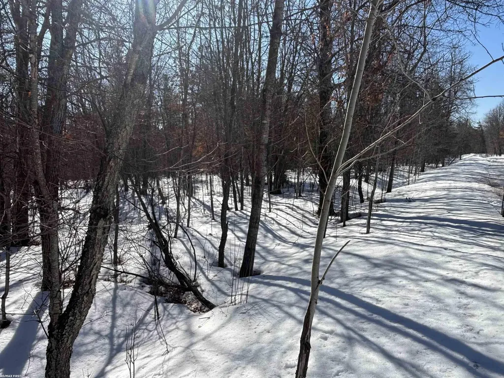0 Pocahontas Trail Beaver Creek Township MI 48653