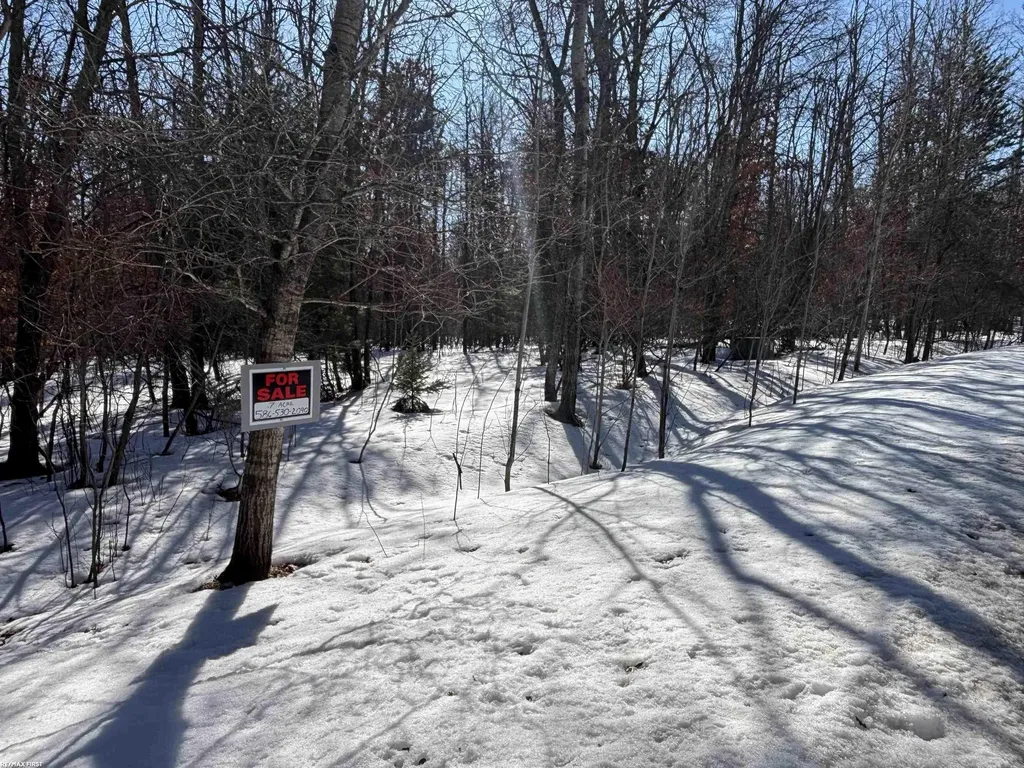 0 Pocahontas Trail Beaver Creek Township MI 48653