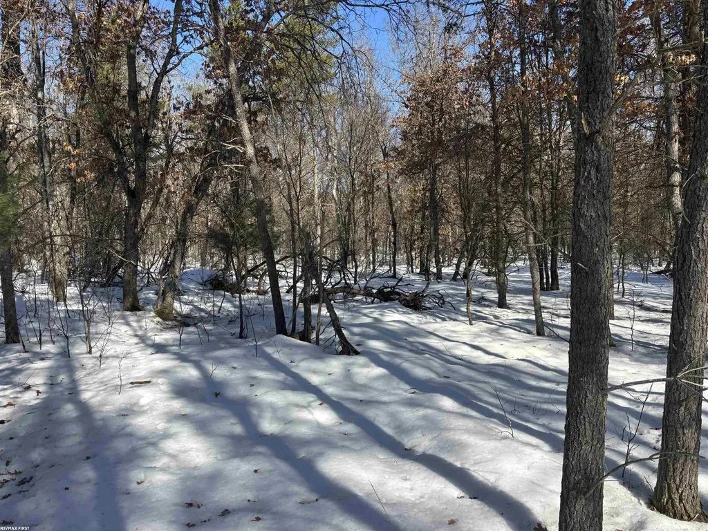 0 Pocahontas Trail Beaver Creek Township MI 48653