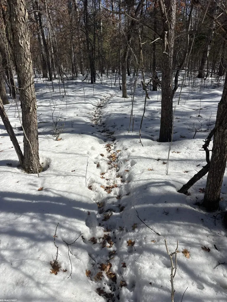 0 Pocahontas Trail Beaver Creek Township MI 48653