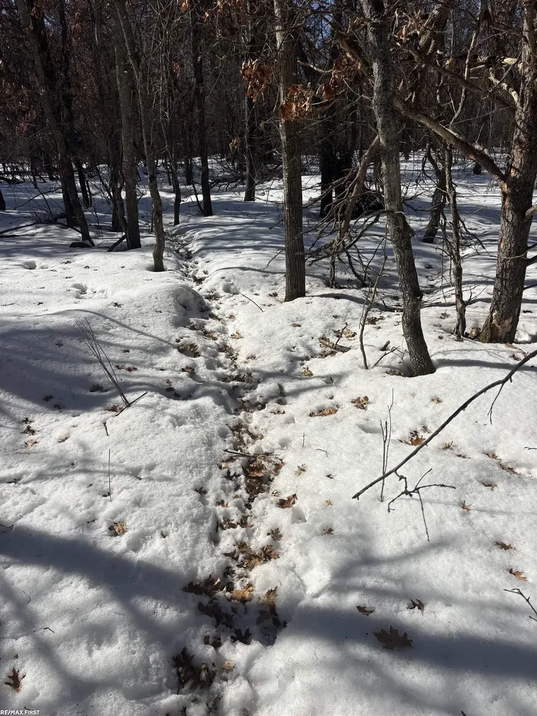 0 Pocahontas Trail Beaver Creek Township MI 48653