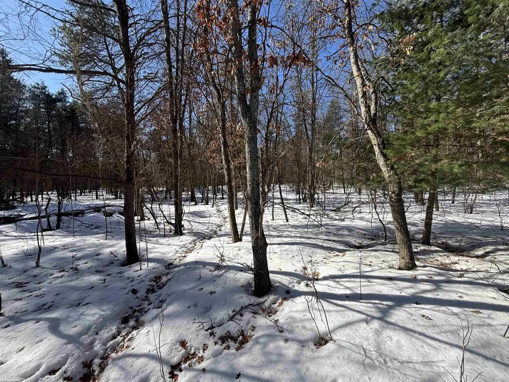 0 Pocahontas Trail Beaver Creek Township MI 48653