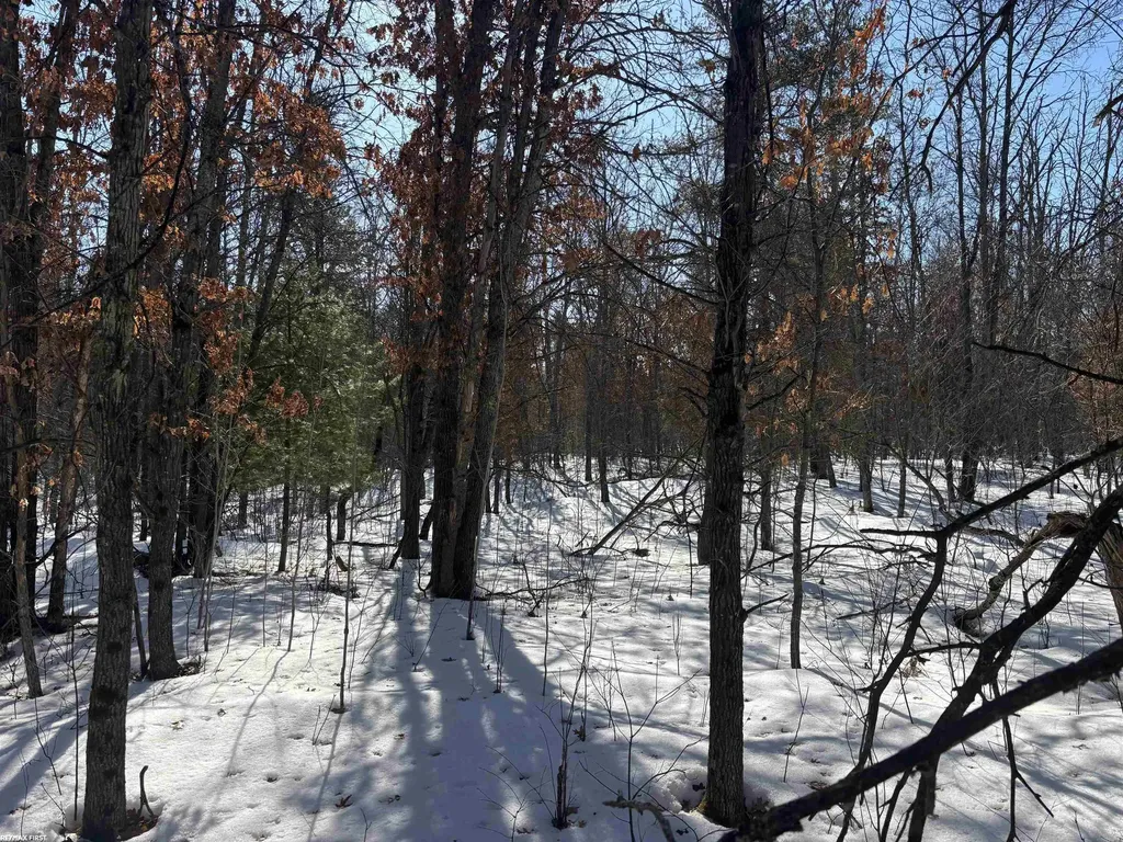 0 Pocahontas Trail Beaver Creek Township MI 48653