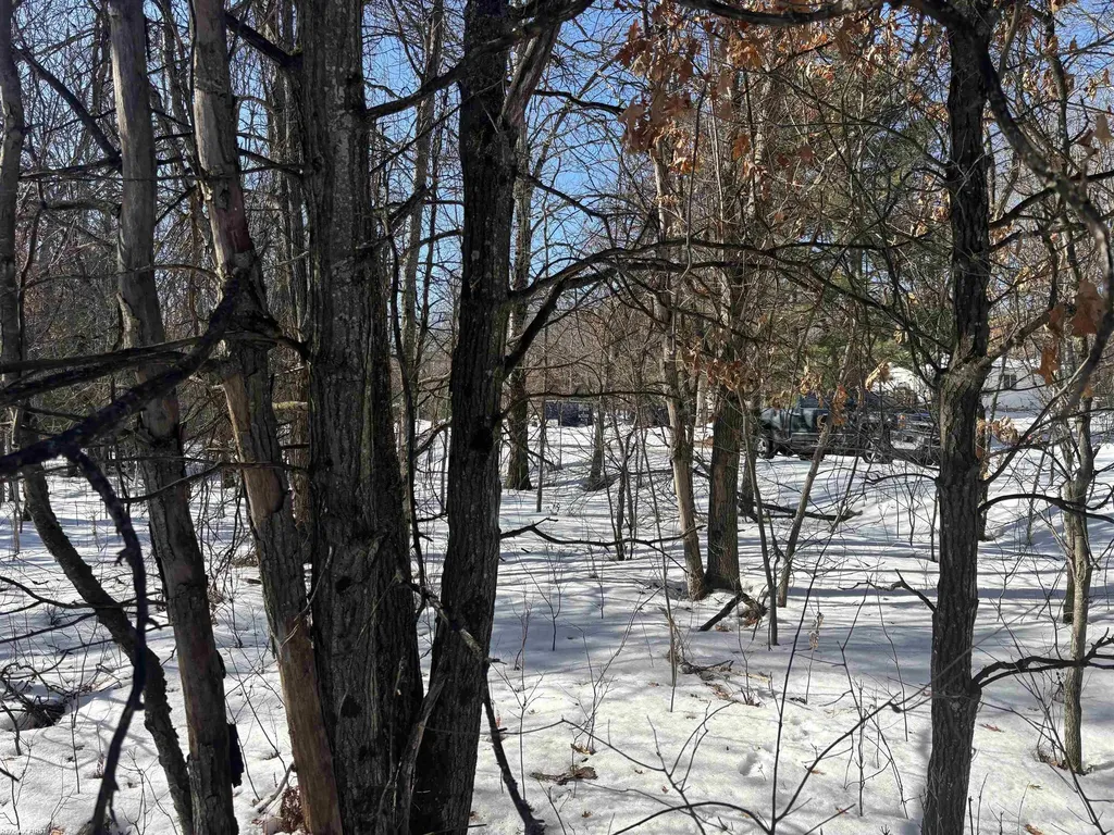 0 Pocahontas Trail Beaver Creek Township MI 48653
