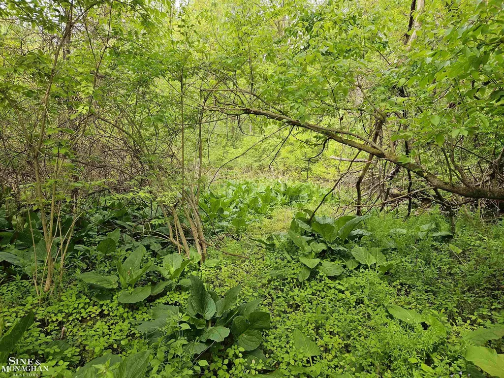 73763 Coon Creek Road Armada Township MI 48005