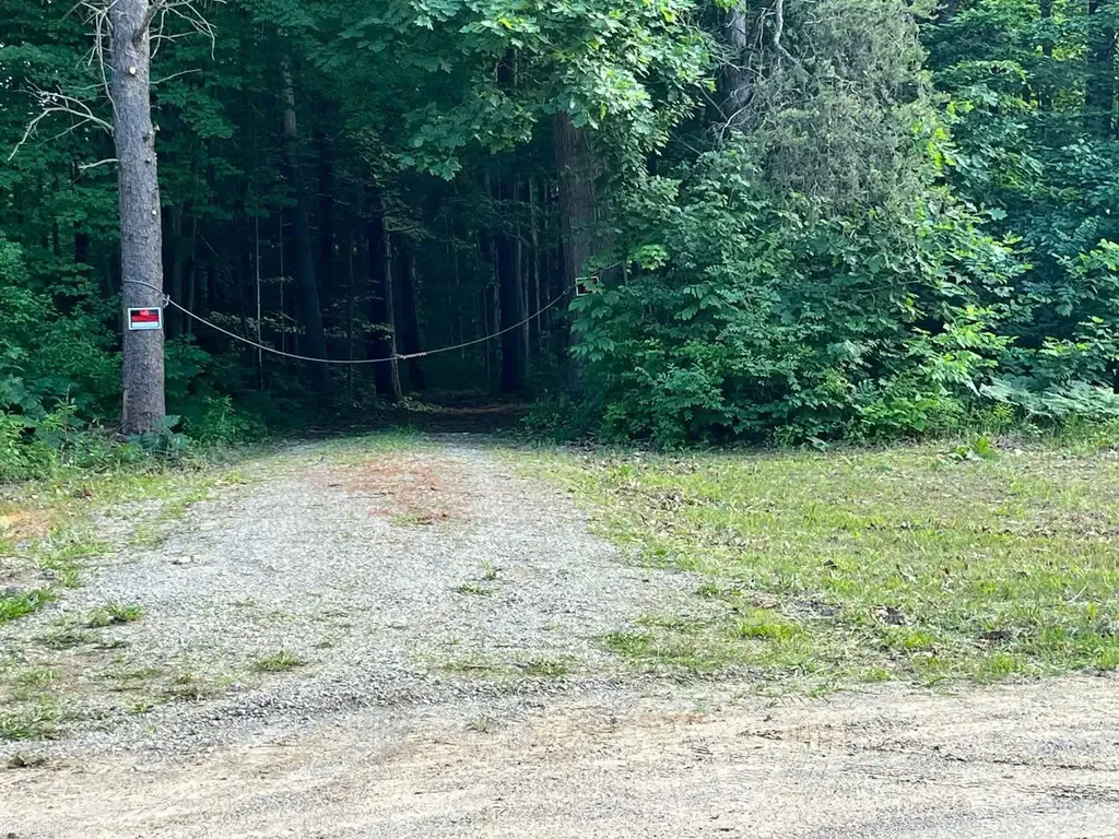 4123 Waterman Road Vassar Township MI 48768