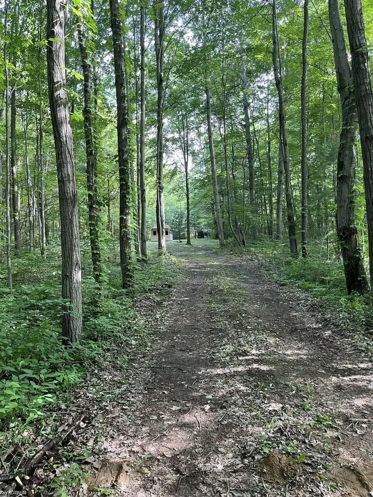 4123 Waterman Road Vassar Township MI 48768