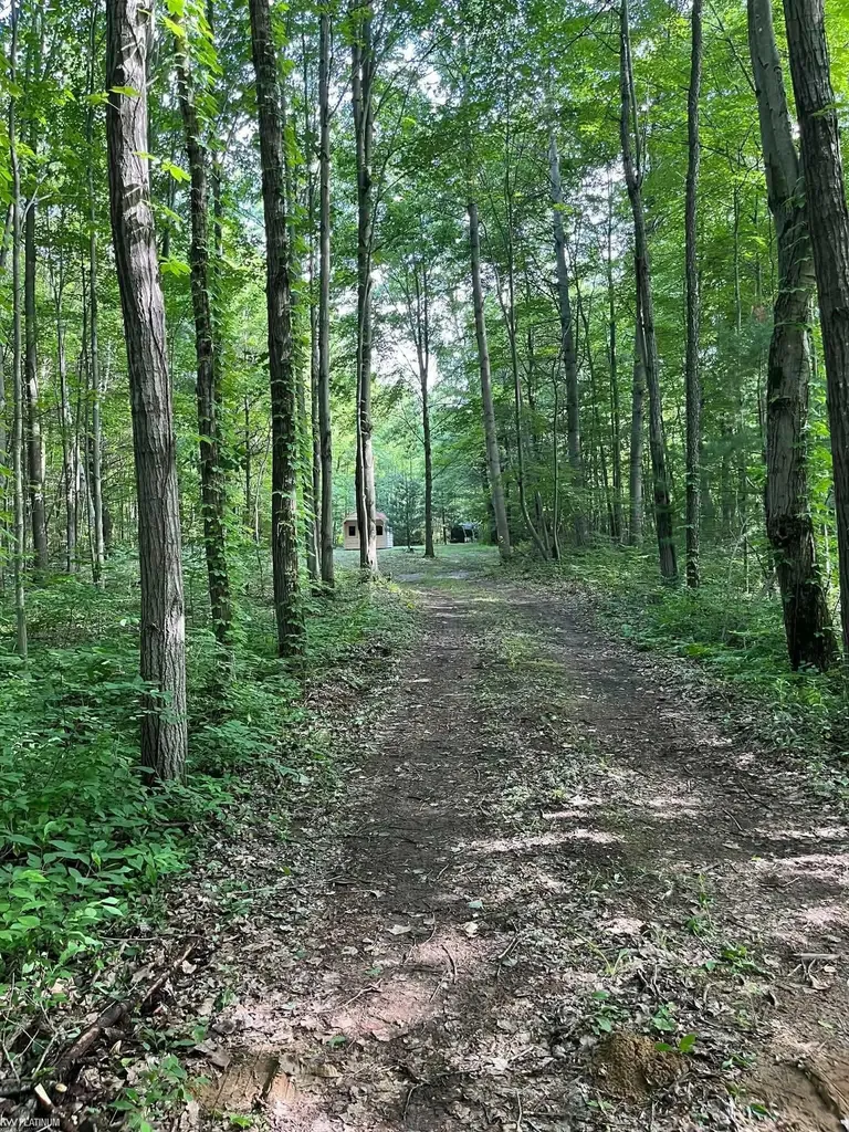 4123 Waterman Road Vassar Township MI 48768