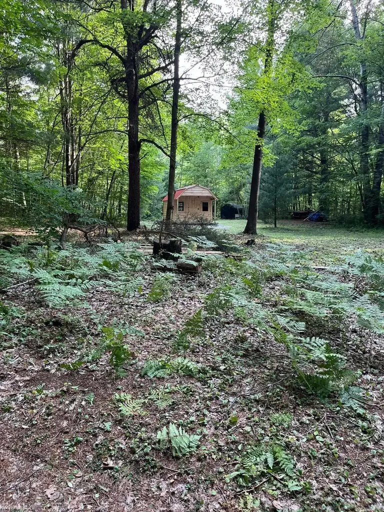 4123 Waterman Road Vassar Township MI 48768