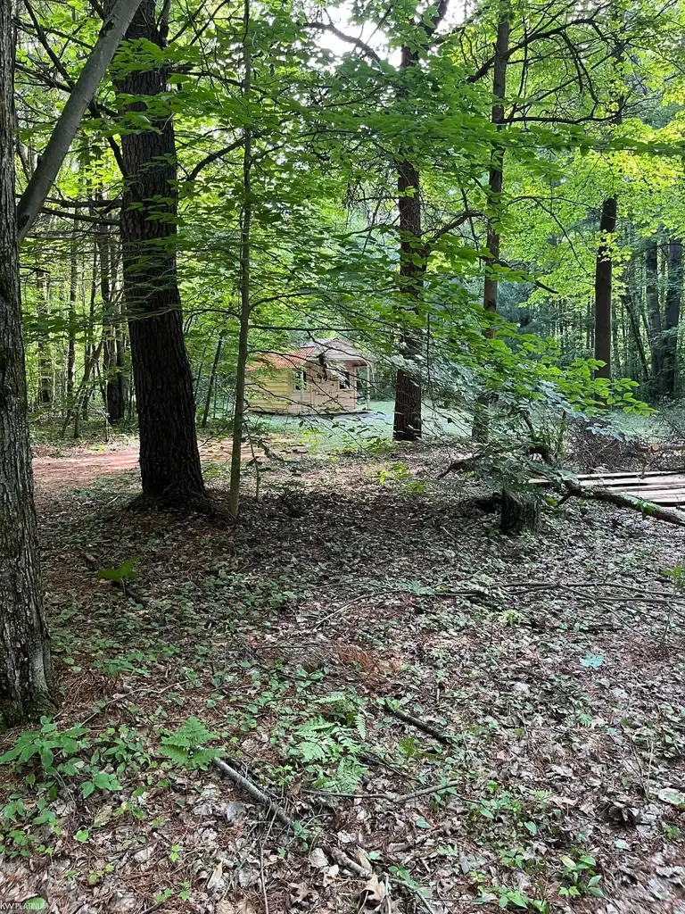 4123 Waterman Road Vassar Township MI 48768