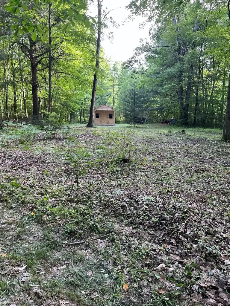 4123 Waterman Road Vassar Township MI 48768