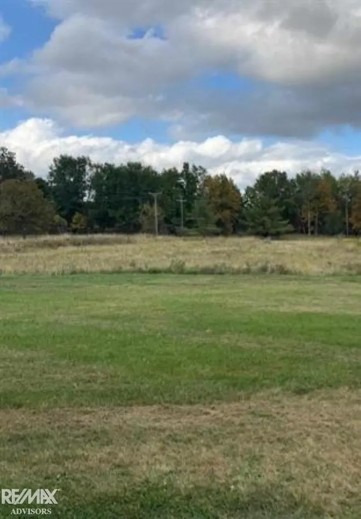 00 Oatman Road Greenwood Township MI 48006